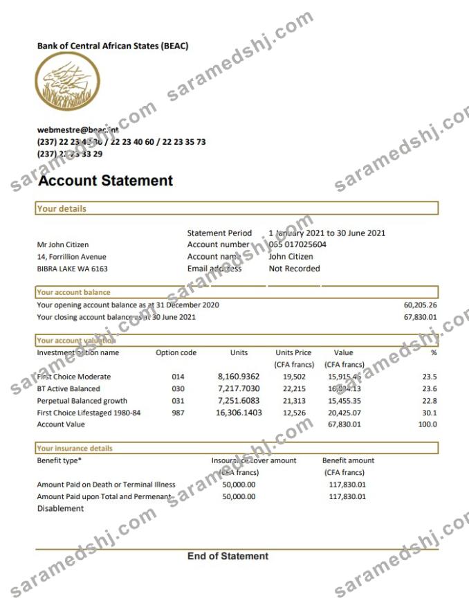 Central African Republic Bank of Central African States BEAC bank statement easy to fill template in .xls and .pdf file format (AutoSum)